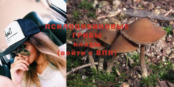 сатива Баксан