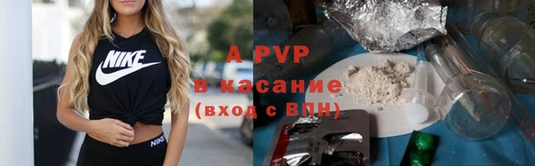 сатива Баксан