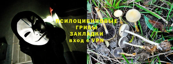 ПСИЛОЦИБИНОВЫЕ ГРИБЫ Балабаново